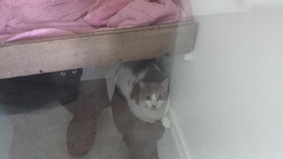 A couple of our customers enjoying the comfort of their indoor house