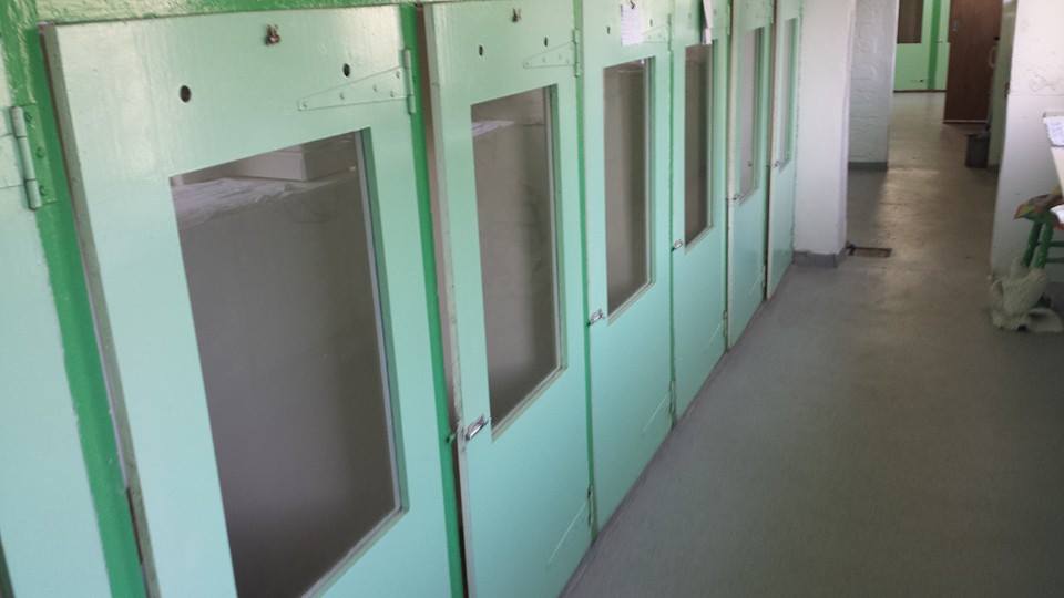 Indoor houses with catflap to access run out the back